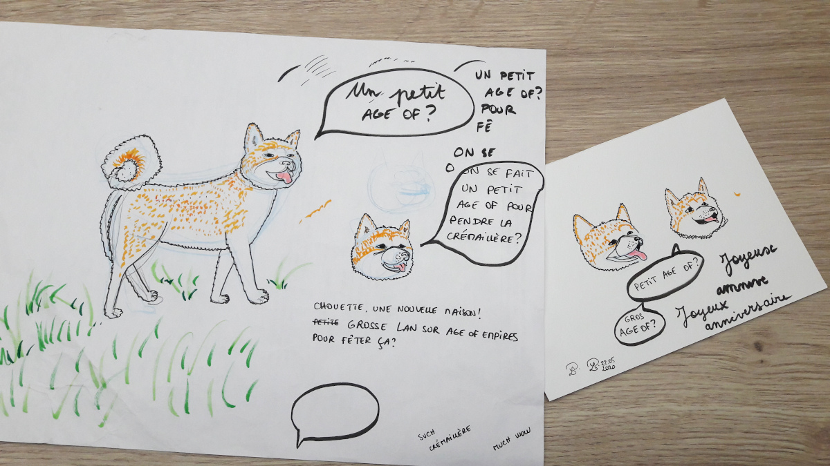 Croquis et essais de couleurs pour une illustration d'un chien de race Akita Inu